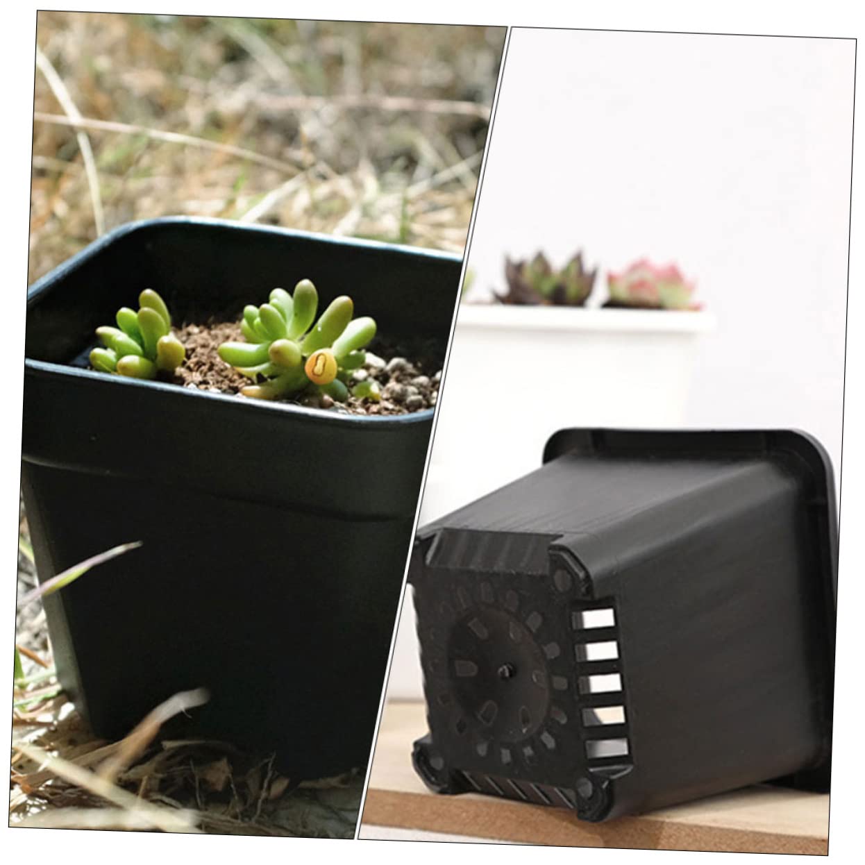 TOYANDONA 30 Pièces Pots de Fleurs Épais Godets de Semis Drainage pour Plantes Bonsai Accessoire de Jardinage