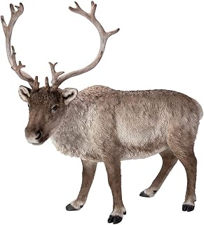 Vivid Arts - Real Life Reindeer Home or Garden Decoration (XRL-REIN-D)