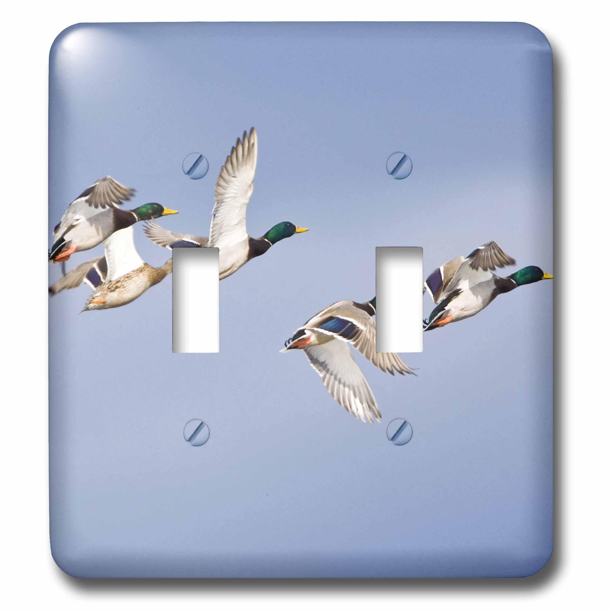 Placa decorativa para interruptor de luz de patos para sustituir placas viejas