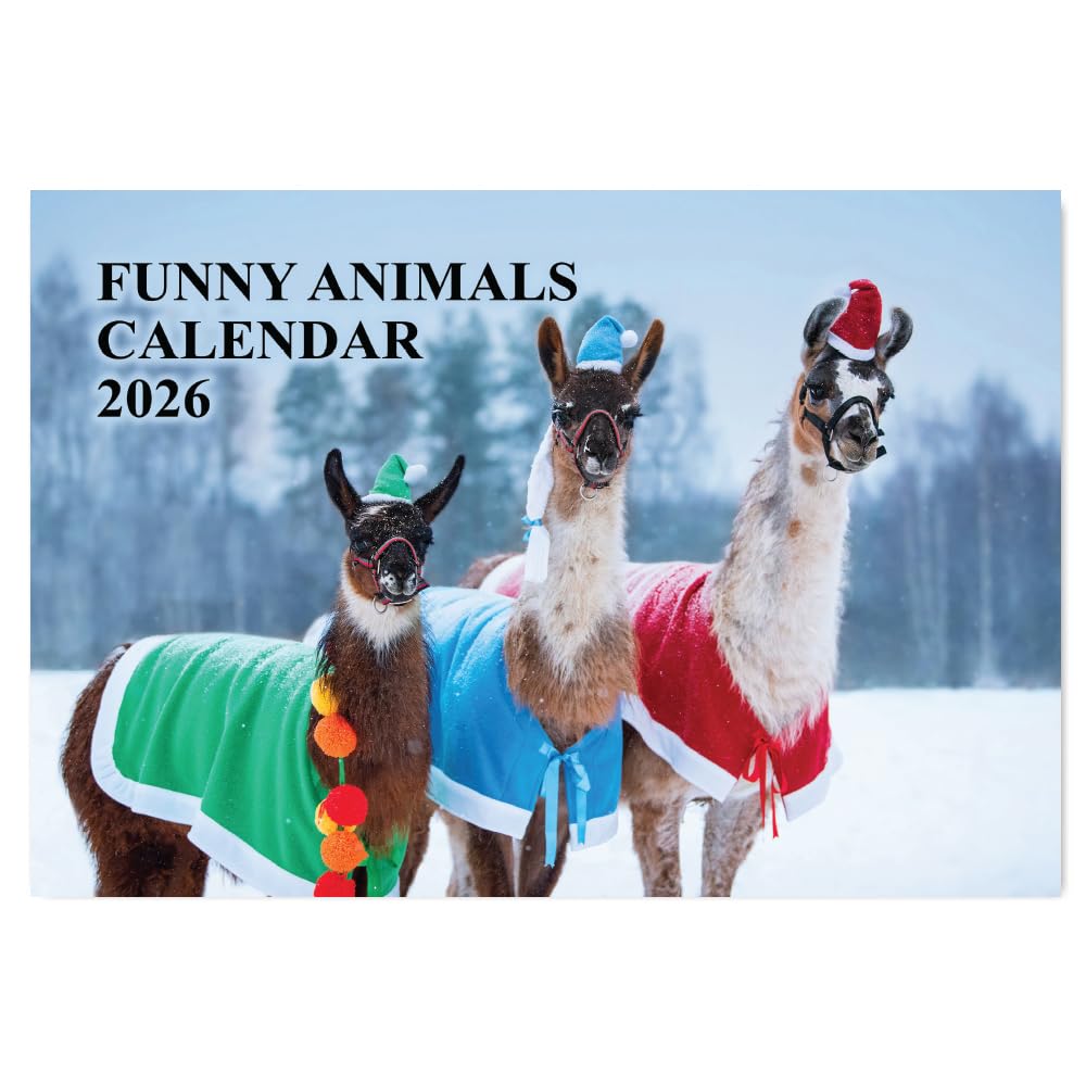 A4 Funny Animal Calendar 2026 12 Month to View Calendar 2026 UK Funny Perfect for Home, Office, School, Holidays and Planning Papa Prints