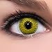 Produktbild Circle Lenses goldene 'Gold Glitter' ohne Stärke + Behälter 14,50mm farbige Kontaktlinsen