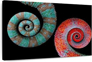ElephantStock - Colorful Chameleon Tails Wall Art - Horizontal Canvas Wall Art - Hallway Wall Decor - Photography Animal Canvas Art - Black And Turquoise Decor - 30" x 20"