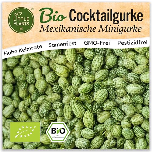 Little Plants BIO Mexikanische Minigurke Samen 10 Gurkensamen Gurke Gemüsesamen Samenfest für Gemüsegarten Gemüse Samen für Küche, Balkon, Hochbeet und Garten