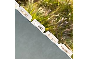 Elegant White and Gold Bible Tabs for Enhanced Scripture Navigation