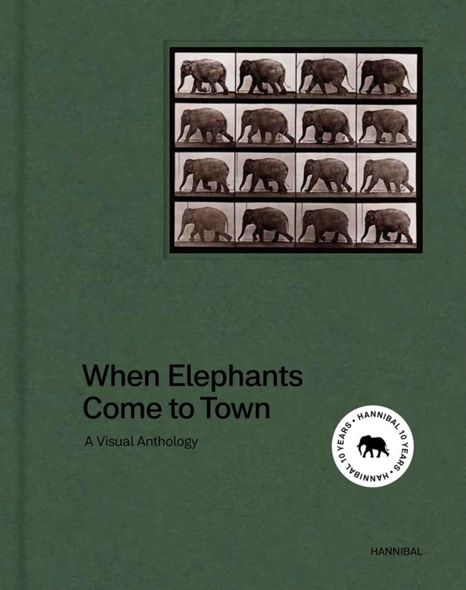 When Elephants Come to Town livre table basse déco salon