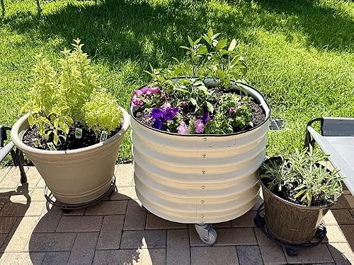 Rolling Metal Citrus Tree Planter, Self-Watering Round Planter Box for Porch Patio & Backyard, Raised Garden Bed with Wheels for Growing Trees Tomatoes Vegetables and Flowers, Single Pack-Pearl White