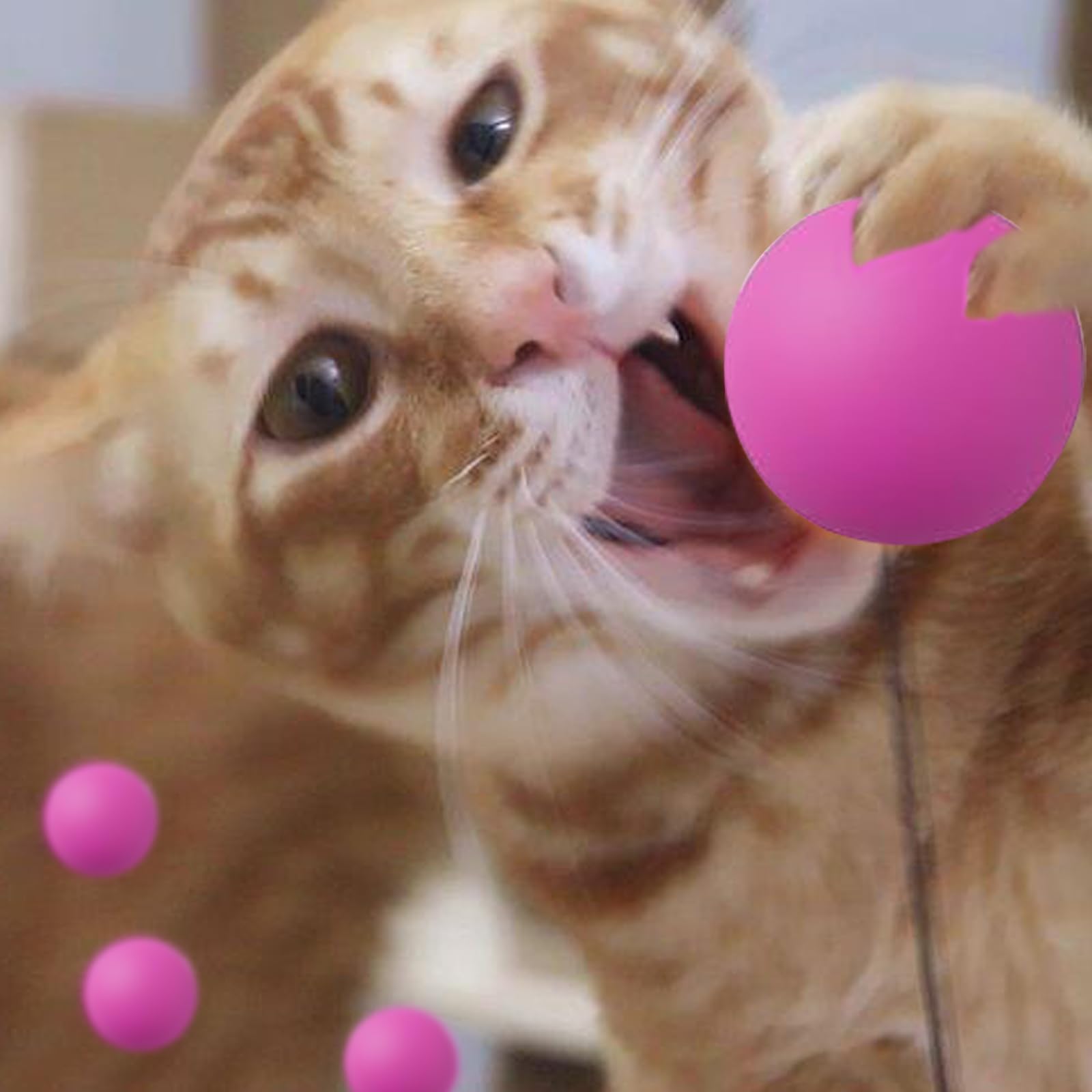 Paquete de 120 pelotas de ping pong de colores, pelotas de tenis de mesa de 40 mm, juegos de ping pong de cerveza, artes divertidas, gatos, herramientas de desarrollo intelectual, bolas