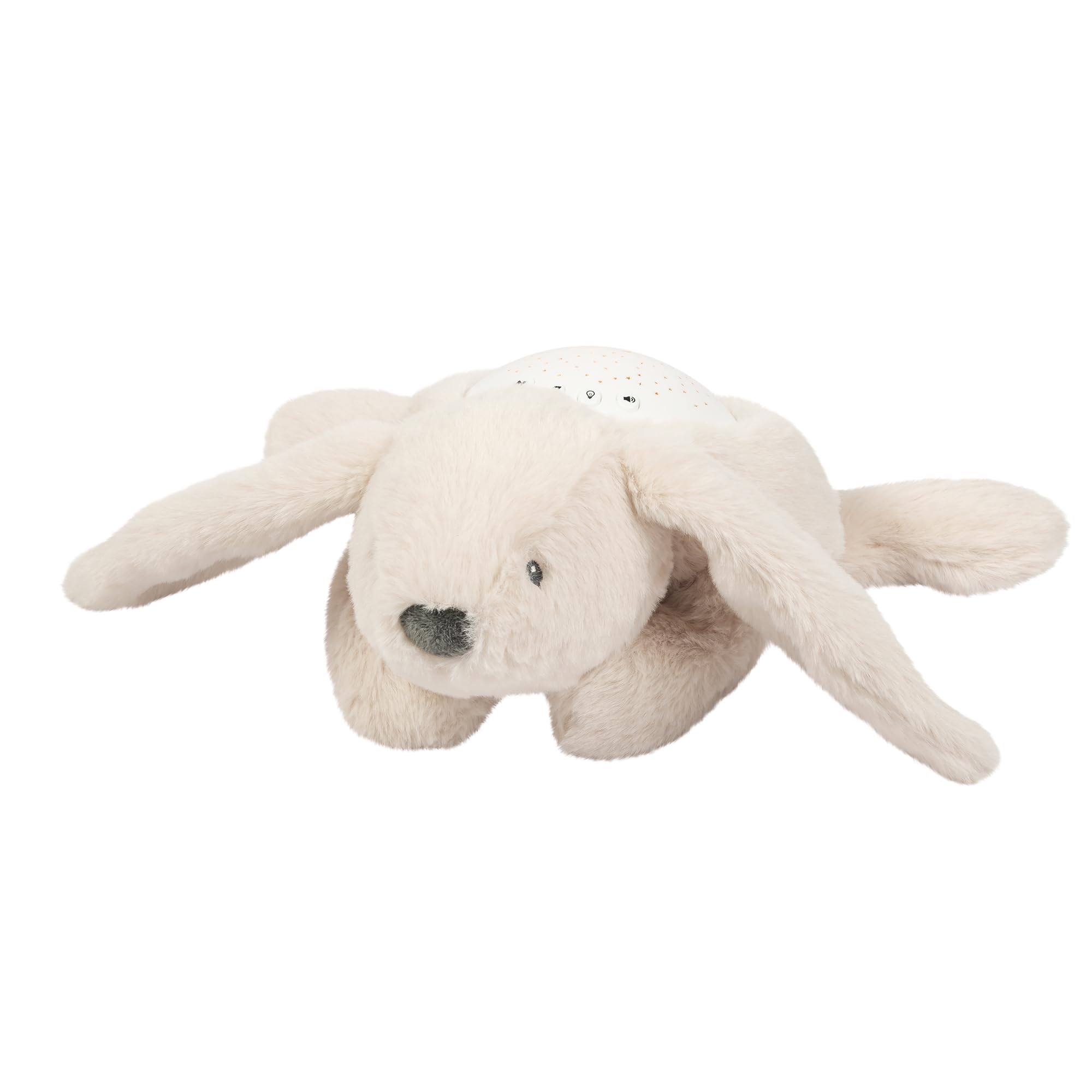 Nattou Veilleuse LED Koala Bear, Projecteur de ciel étoilé, 3 couleurs LED, 5 sons et chansons, Peluche/​Polyester, 26 cm, Beige