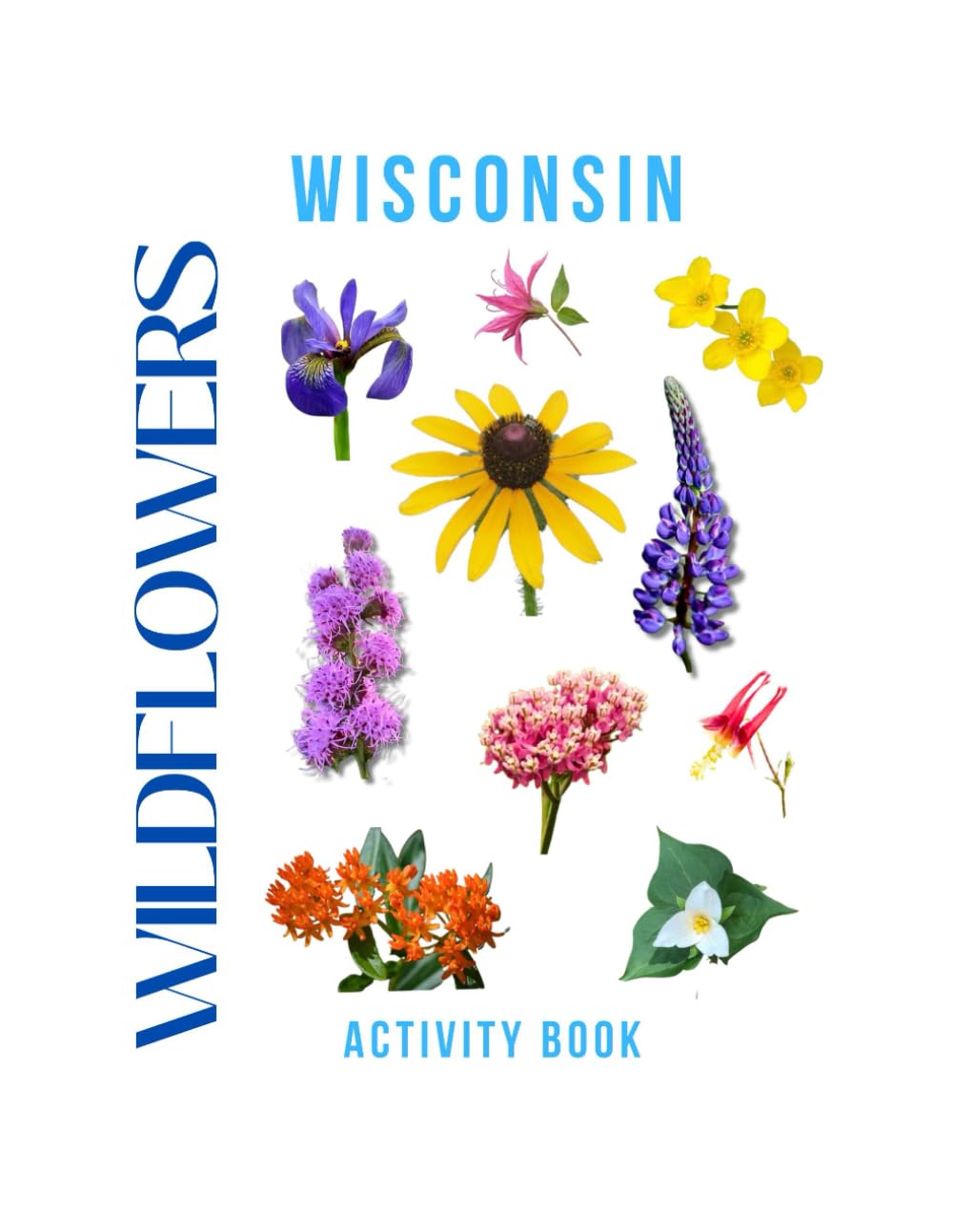 Wildflowers of Wisconsin Activity Book: A Young Explorer's Field Guide to the Native Blooms of Wisconsin (Wisconsin Nature Explorer Series)
