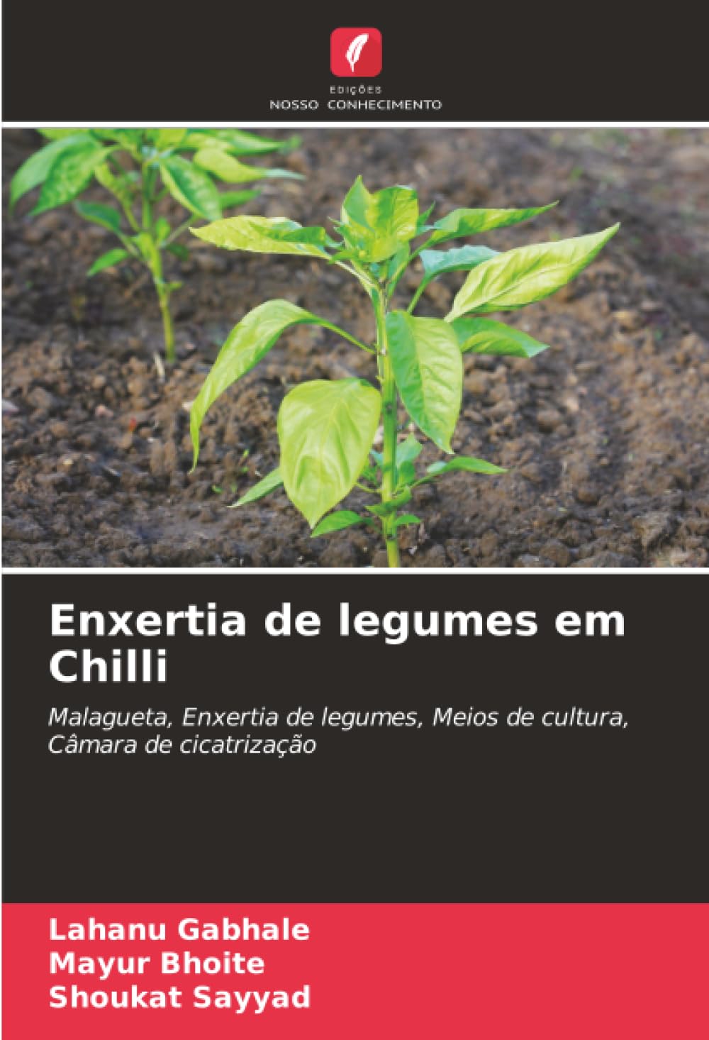 Enxertia de legumes em Chilli: Malagueta, Enxertia de legumes, Meios de cultura, Câmara de cicatrização