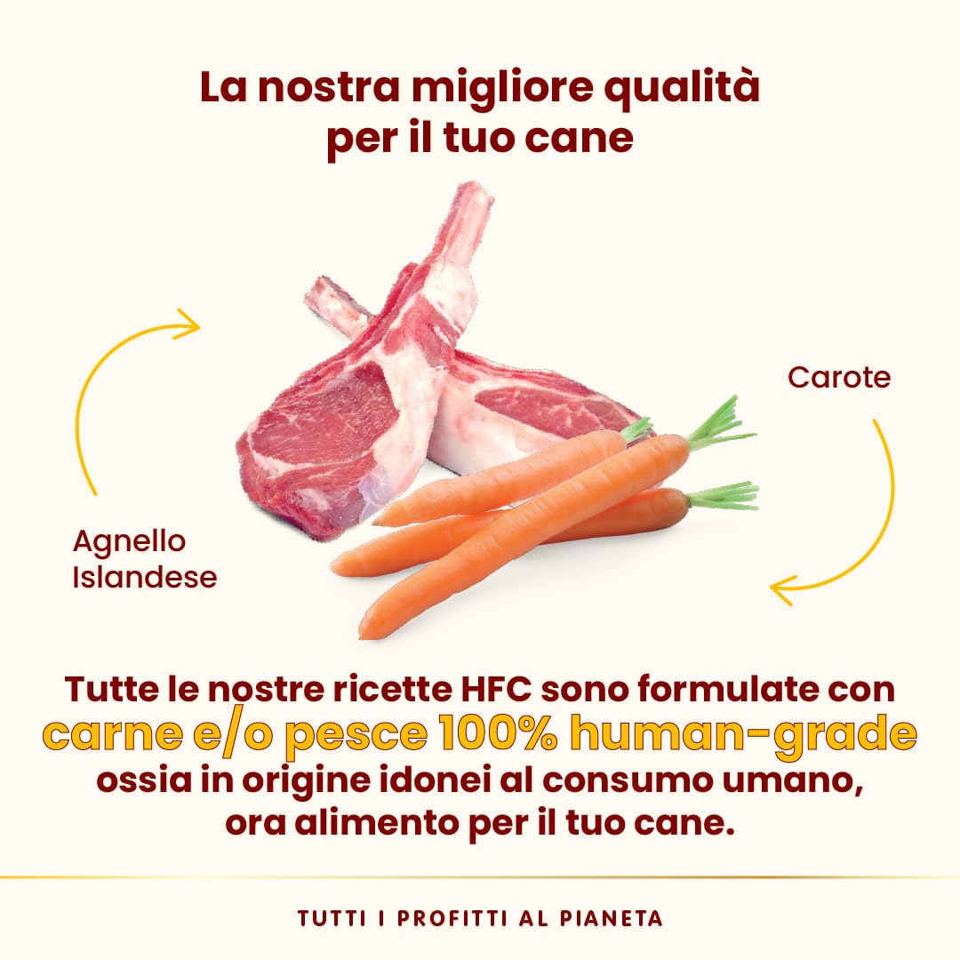almo nature HFC Complete - Alimento Umido per Cani Adulti - Agnello Islandese con Carote - qualità Human Grade, Senza Glutine, Monoproteico - 85g, Confezione da 17