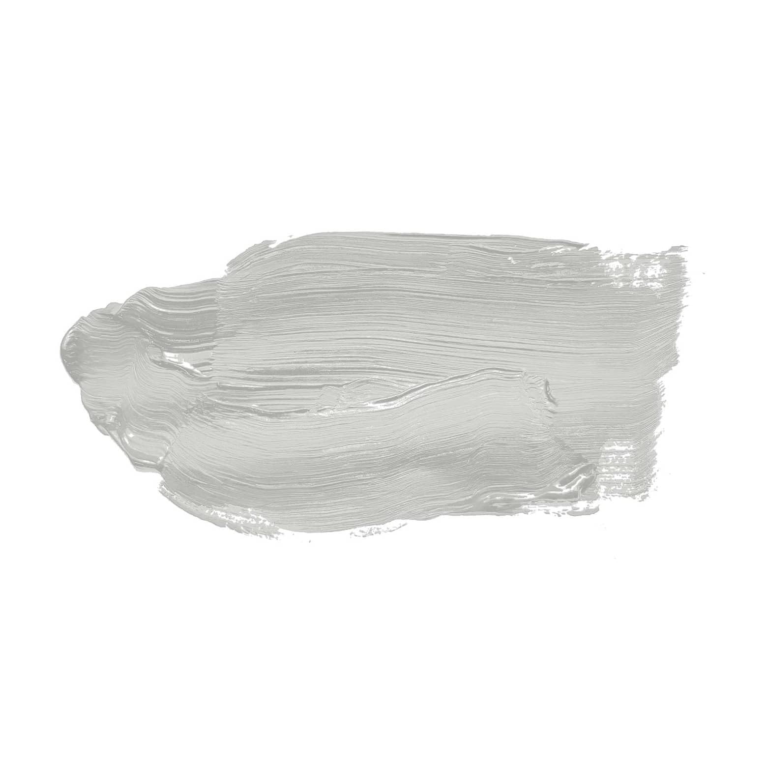 K&L Wall Art Pintura mate para pared de 5 litros, color gris