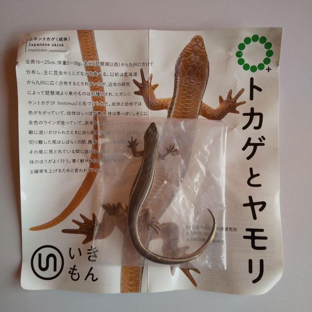 Amazon | ネイチャーテクニカラー トカゲとヤモリ ガチャ | カプセル
