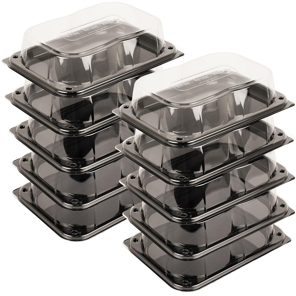 delisupplies 10 x Ultimate Small Sandwich Platter with Lid, Unique Press Stud Secure Closing, Rectangle Food, Cake, Tray Set Black Base Clear Lid Serving Platters for Buffet, Catering, 255 x 180mm