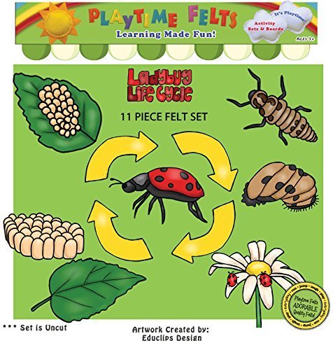 Preisvergleich Produktbild Ladybug Life Cycle Felt Board Figures By Playtime Felts by Playtime Felts