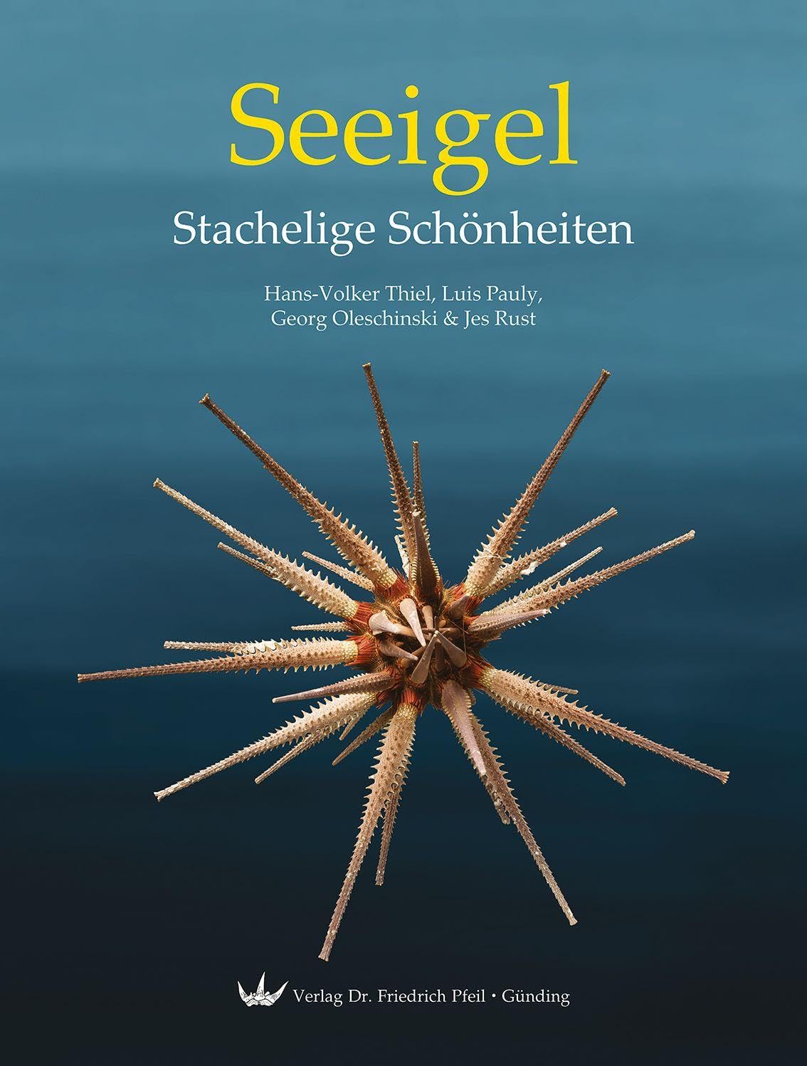 Seeigel Stachelige Schönheiten