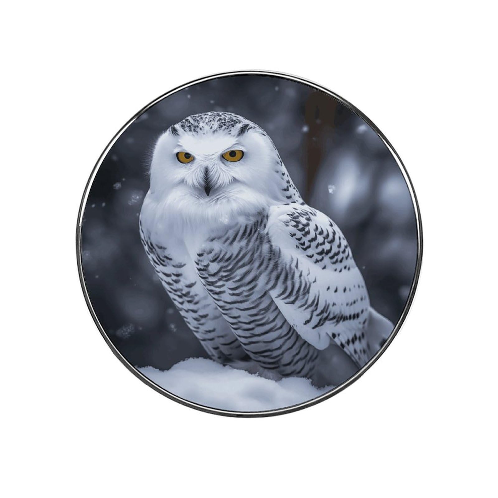 Arctic Owl Magnetic Refrigerator Sticker Glass Strong Fridge Sticker Cute Refrigerator Magnets for Kitchen Office Whiteboard Cabinet Decorative Magnets for Gift