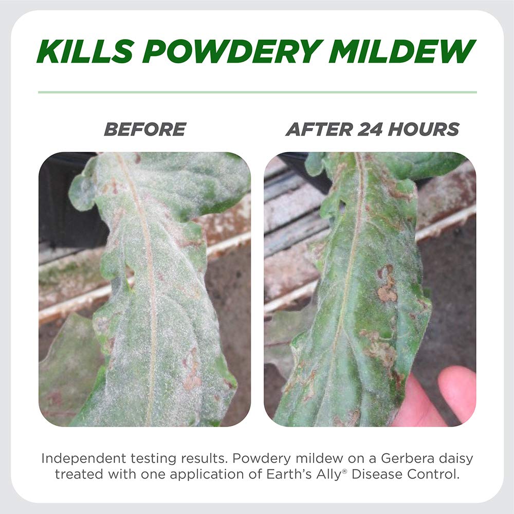 Buy Earth's Ally Disease Control Concentrate for Plants Fungicide