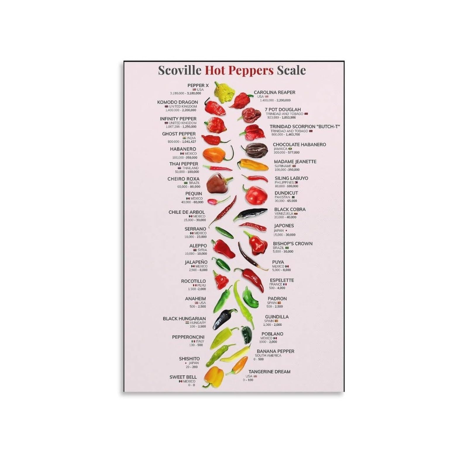 PIUHRKLEVD Chili Pepper Heat Level Chart Metal Tin Sign Informational Reference Guide for Kitchen BBQ Enthusiasts and Spicy Food Lovers 8 X 12 in