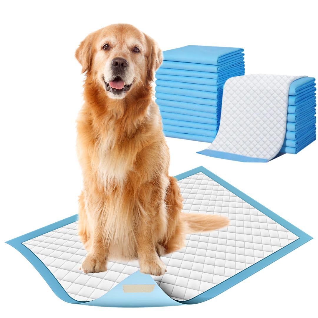 ZOIVANE XL Pee Pads for Dogs | Pack of 30 | Training Pads for Dogs, Potty Training Pads, Dog Pee Pads, Pee Mat for Dogs, Pet Training Pads, Leak-Proof Protection - 60X90 cm (B0D83PN5CP) Amazon Price History, Amazon Price Tracker