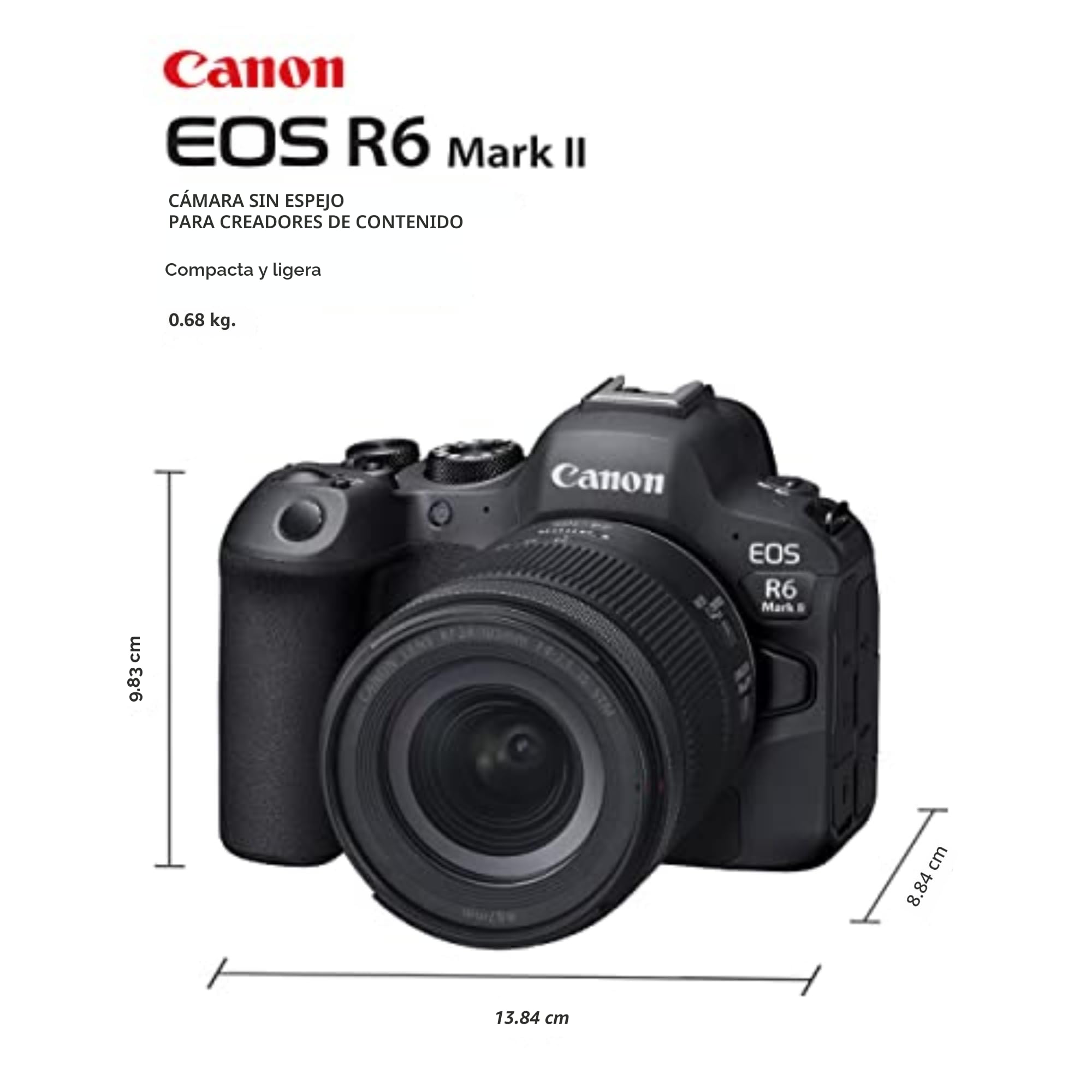 Amazon.com: Canon EOS R6 Mark II Cámara sin espejo con lente RF24