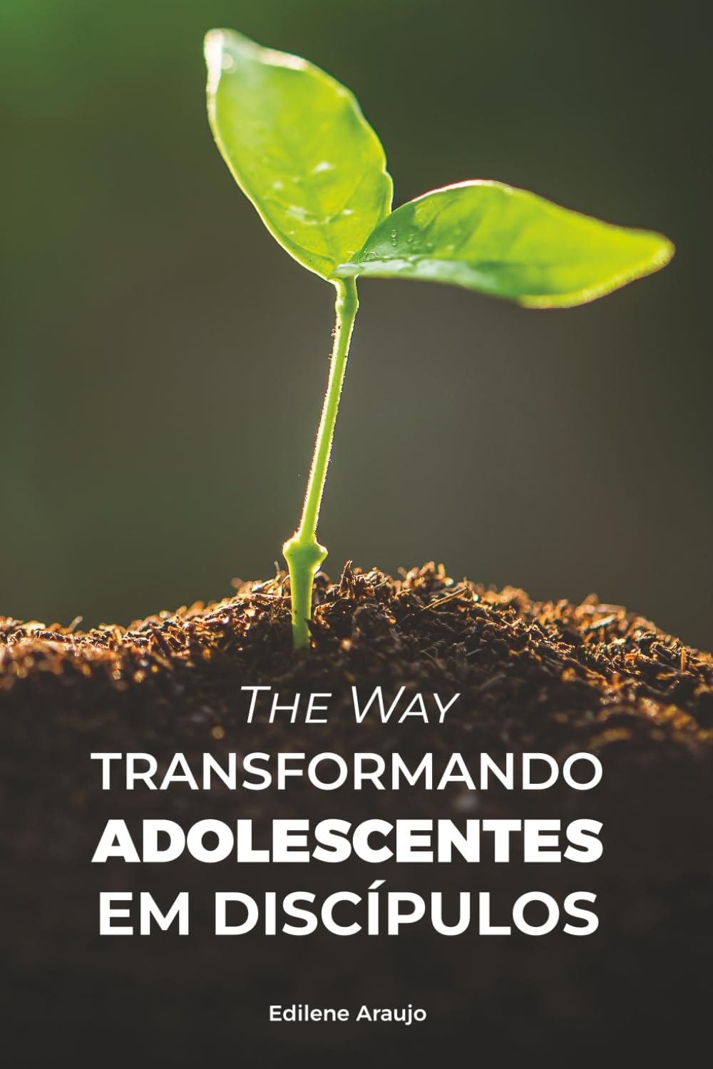 THE WAY Transformando adolescentes em discípulos: Um caminho relacional de discipulado, formação espiritual, comunidade e missão na adolescência.|formato 6x9