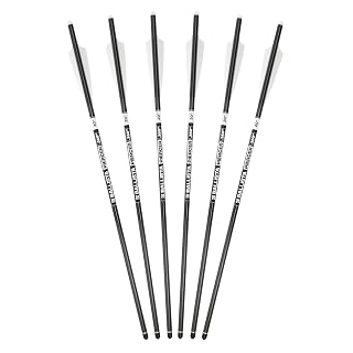 BALLISTA Piercer 20-Inch 2-Vane Crossbow Bolts - Pure Carbon Shaft, 355 Grains, Half-Moon Nock, 100-Grain Changeable Tips, Varnish Coating - Ideal for MEGABAT - Pack of 6
