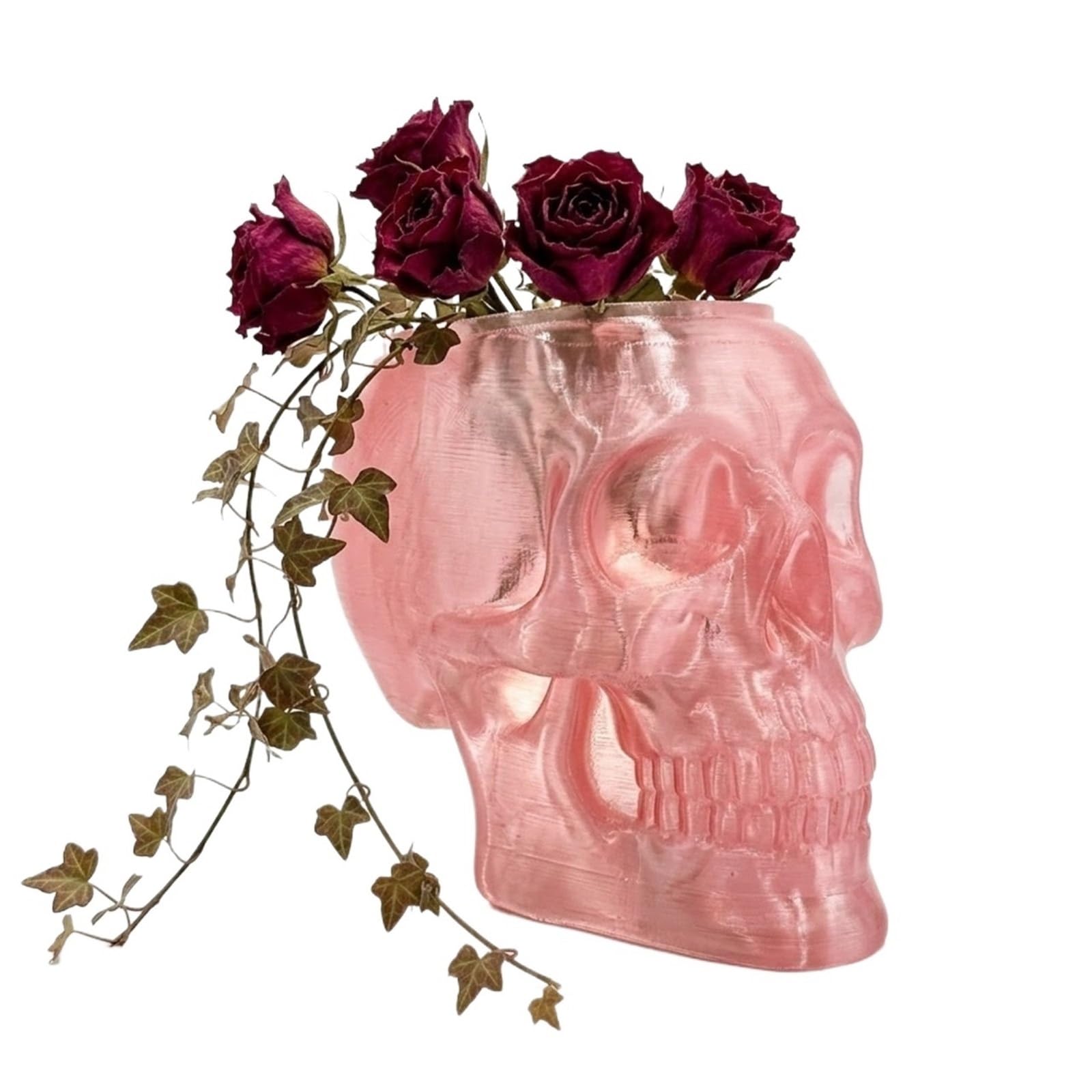 Gothic Skull Wall Vase Translucent Skeleton Head Flower Pot Planter