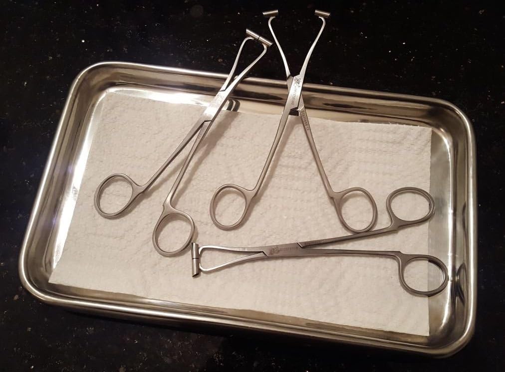 3 Body Piercing Septum Tunnel Pliers Forceps 6" Surgical Stainless Steel Professional Ear Nipple Belly Nose Tongue Lip Navel Eyebrow + Free Tray