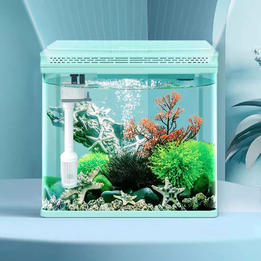Aquarium Petit Aquarium en Verre, aménagement paysager, Petit Salon, Maison, Bureau, Poisson Rouge, décoration écologique, Changement d'eau Gratuit Bac à Poisson