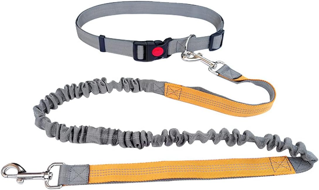 Dosebe 犬 ハーネス 小型犬 犬用リード丈夫ハーネス リードセット ペットランニングトラクションロープ 抜けない 多機能リード ウエストスタイル 小型犬 大型犬 安心散歩 運動向き 調節可能 簡単装着 ペット用品 グレー オレンジ Faz Co Zm