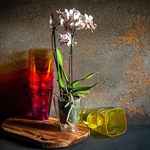 KADAX Blumentopf, schlanker Orchideentopf, Schlichter Pflanzkübel, Blumenkübel für Orchidee, Knabenkraut, Gänseblümchen… – Ansicht 5