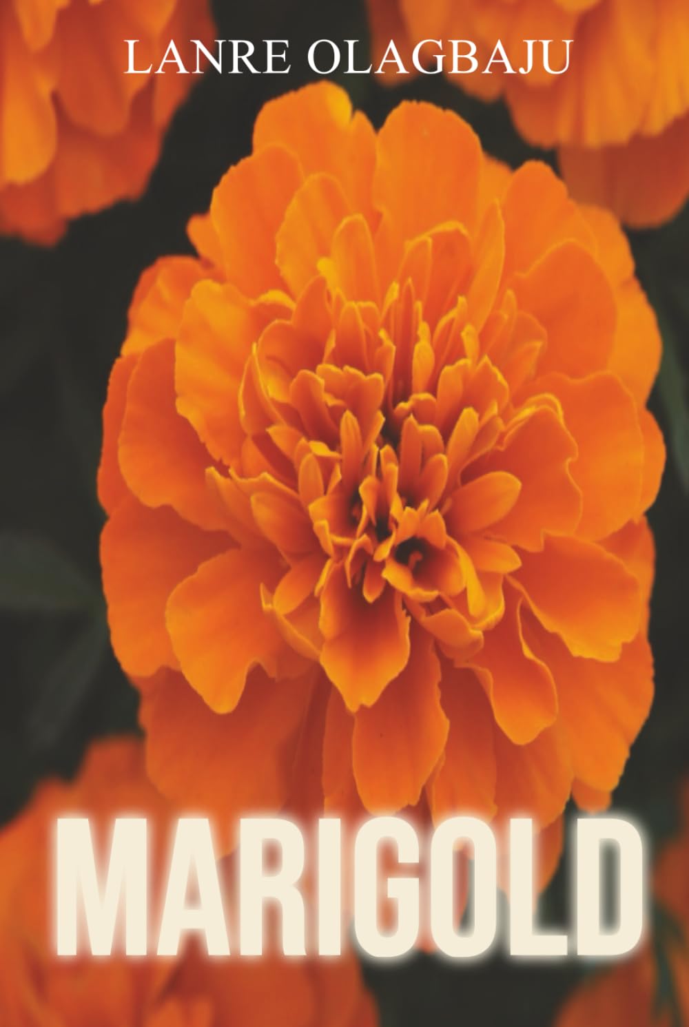 Marigold