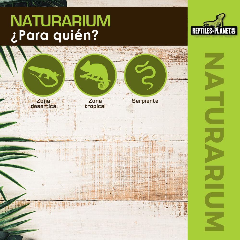 Reptiles Planet Naturarium - Terrario Rectangular de Malla Flexible (75 x 45 x 120 cm)