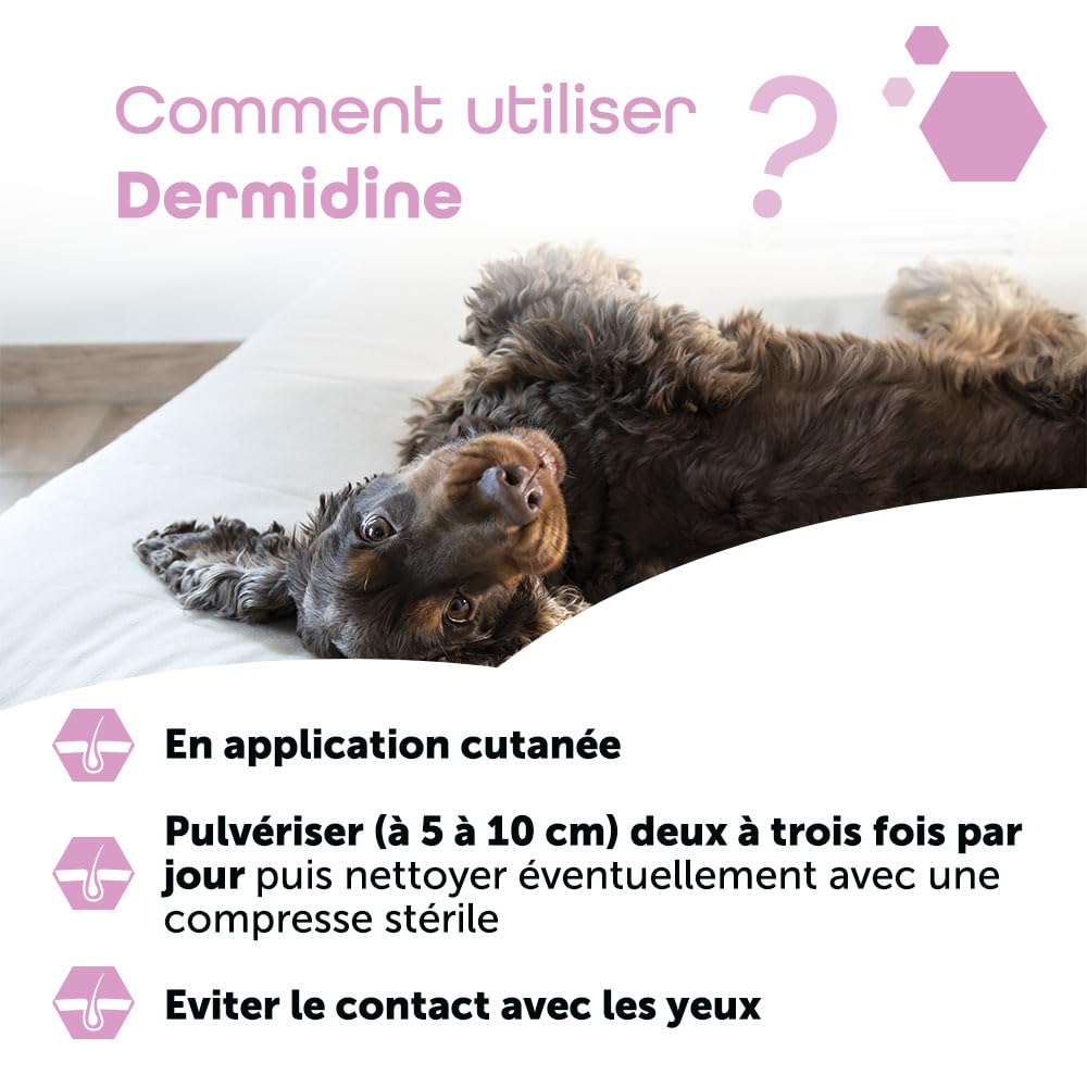 MP Labo Dermidine - Spray pour l'Hygiène Cutanée pour Chien et Chat à Base de Calendula et de Centella Asiatica pour Un Effet Calmant, Emollient et Hydratant (125 ML)