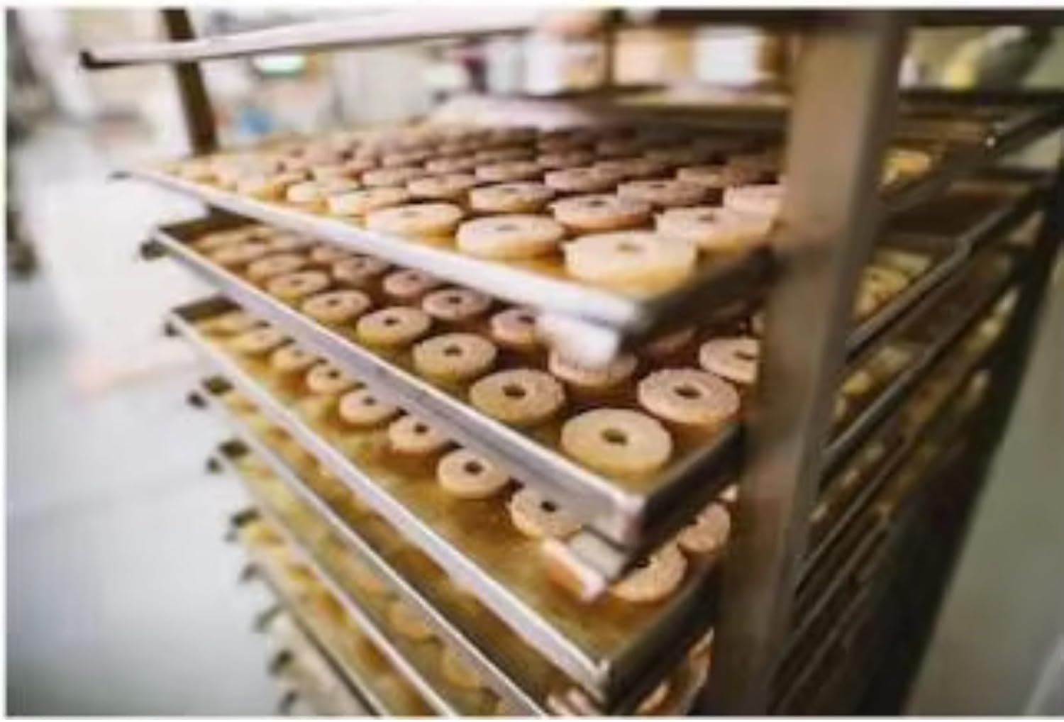 Gas Convection Oven, Heat Circulation System and Spacious Baking Chamber for Bakeries, Restaurants and Catering Kitchens