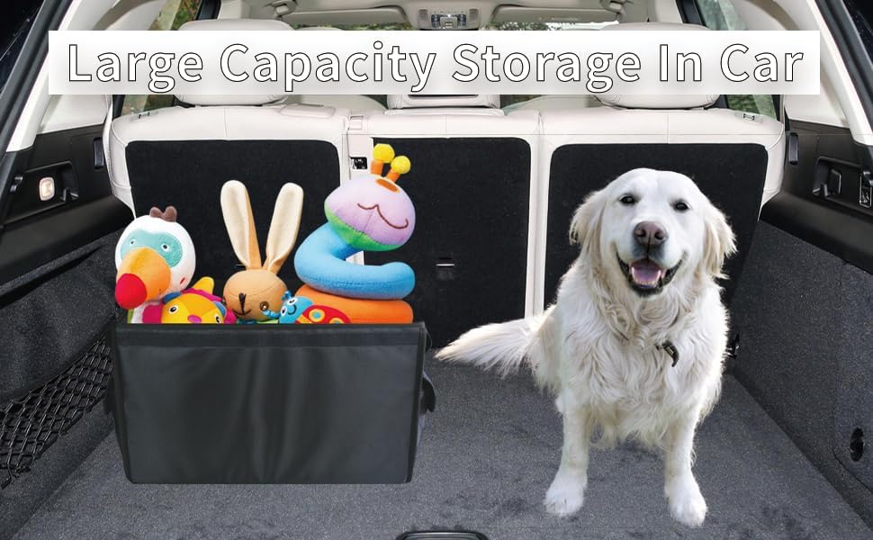 https://m.media-amazon.com/images/I/611uWskYc-L._AC_.jpg