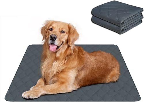 RIOUSSI Almohadillas lavables para orina de perros, reutilizables, absorbentes, a prueba de fugas, almohadillas antideslizantes para mascotas y