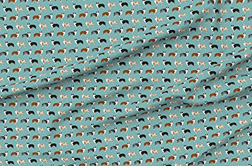 Australian Shepherds Blue Merle Spoonflower