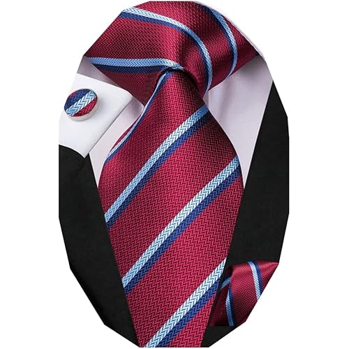 Dubulle Mens Paisley Striped Tie WOVEN Necktie for Men and Handkerchief Cufflinks Set Wedding Formal Business