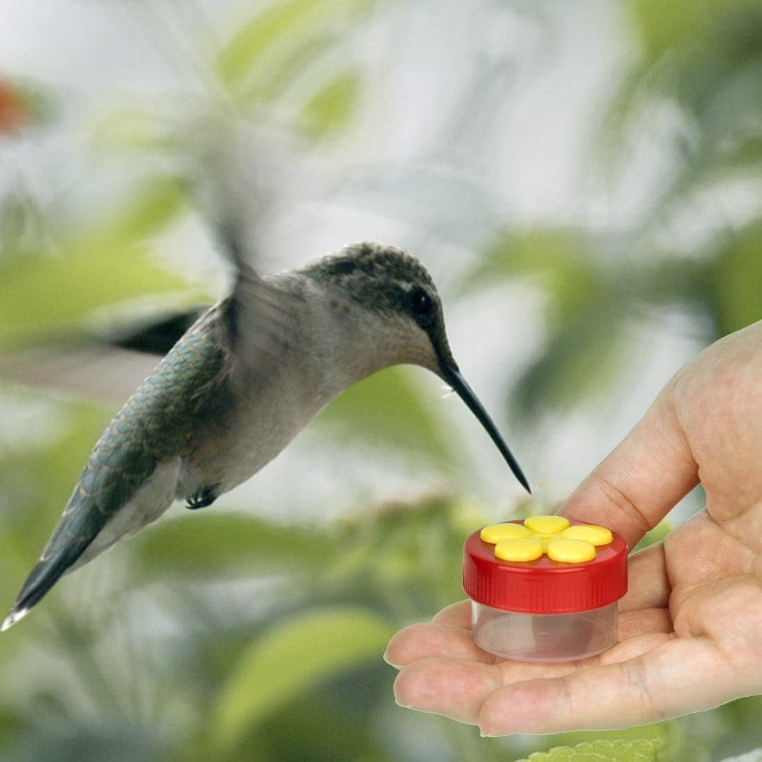 U-pick 4 Pack Hummingbird Feeder with Perch Suction Cups Brush for Handheld Window (Red)