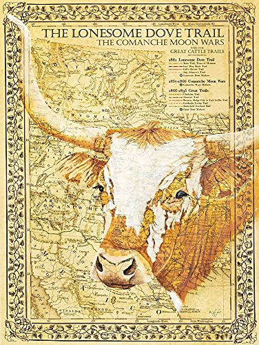 Lonesome Dove Trail by Diane Fifer - 12x16 Art Print Poster