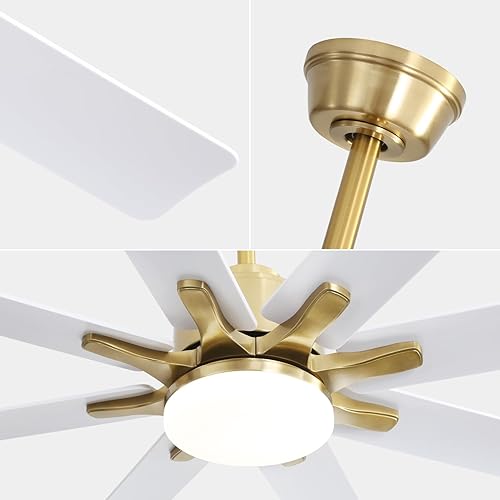 Miniatura 5 de Sofucor Ventilador de techo de 66 pulgadas con luces y control remoto, ventilador de techo de granja reversible, motor de corriente continua, aspas