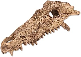 Rettili Planet Decorazione dell' Habitat Crane di Aligator nascondiglio Rettili