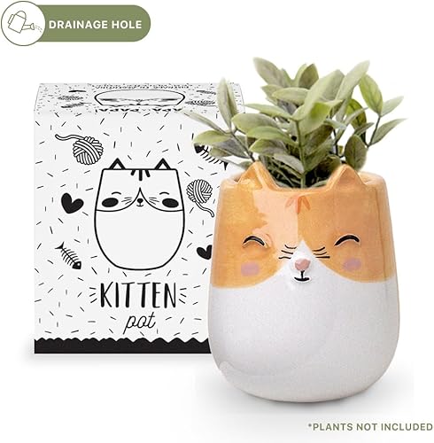 Miniatura 2 de Macetero de cerámica para interiores y exteriores, 3 x 3 x 4 pulgadas, bonito pintado a mano diseñado en Argentina, práctico agujero de drenaje