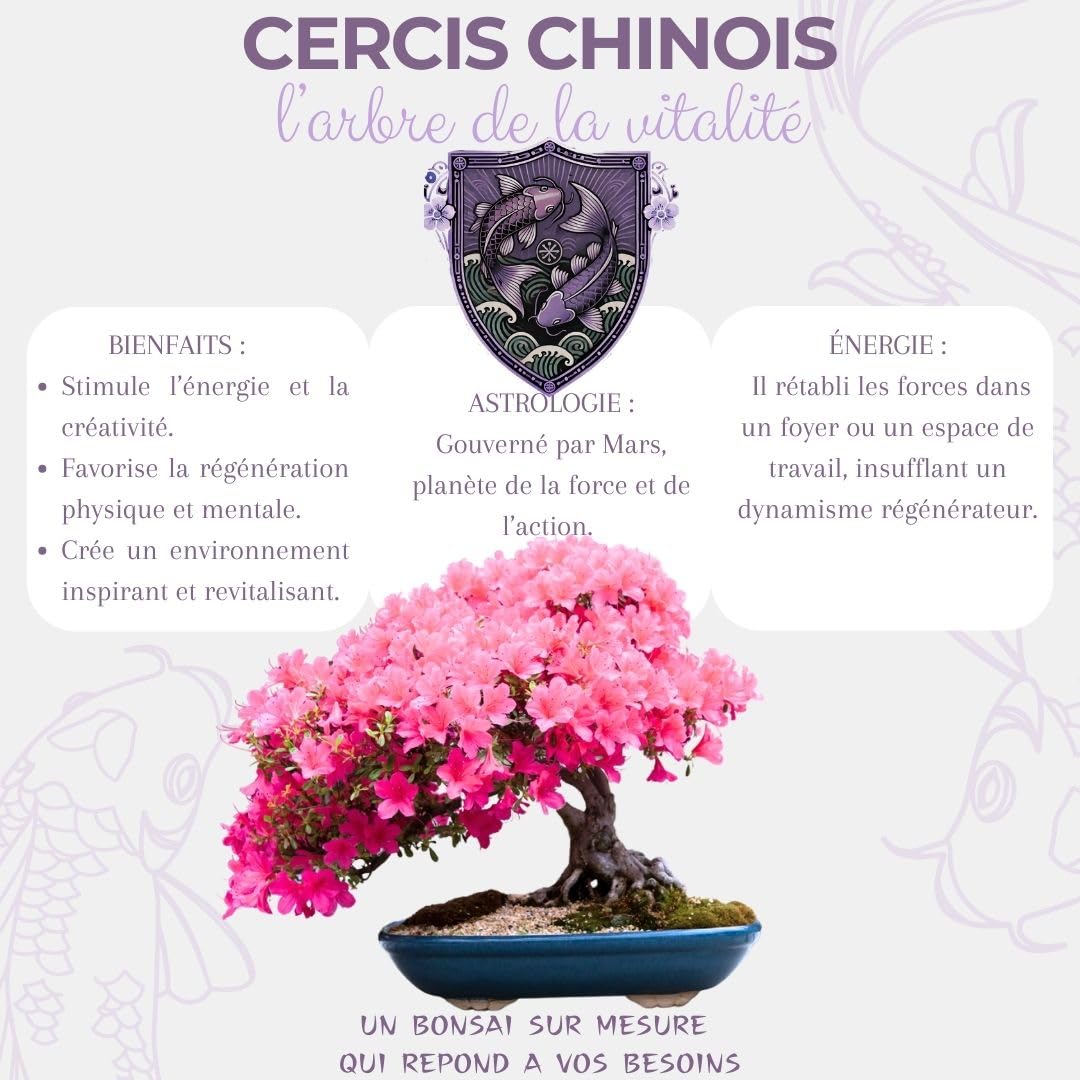 CULTIVEA® Kit First Bonsai - Kit de première culture de Bonsaï - Prêt à Pousser avec Graines & Accessoires - Made In France (Cercis Chinensis)