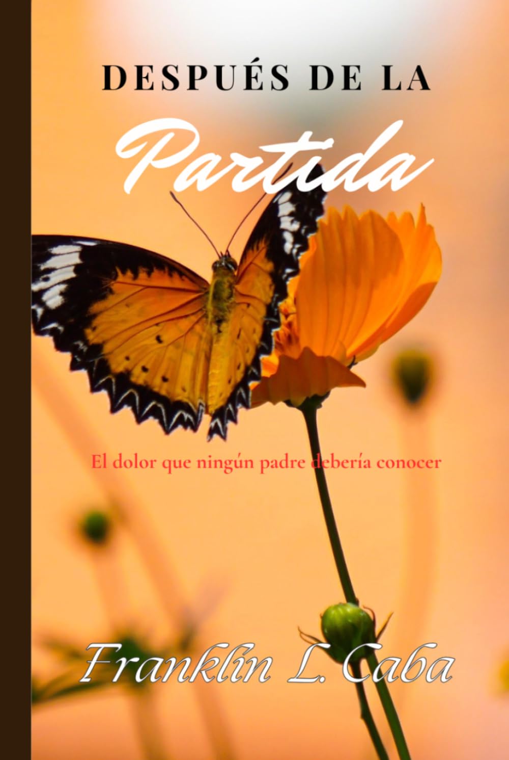 DESPUÉS DE LA PARTIDA: LO QUE NINGÚN PADRE DEBERÍA CONOCER