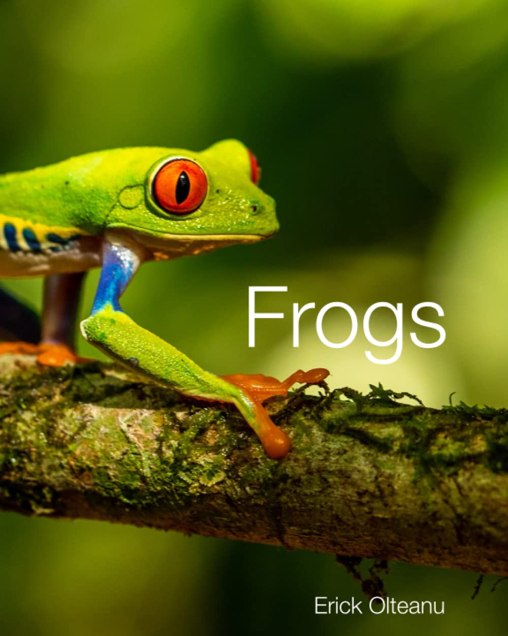 Frogs: Facts and photos about this interesting and unique animal