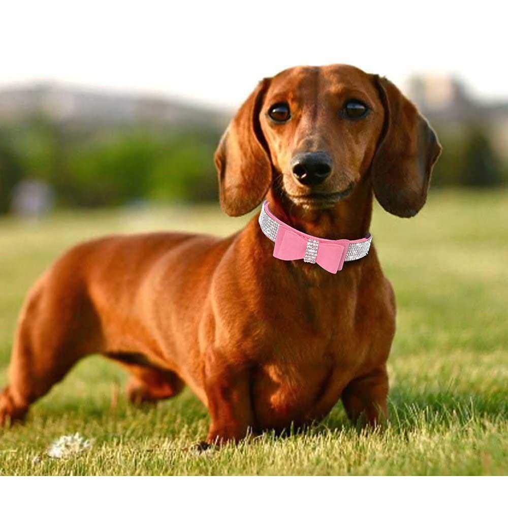 Collare Per Cani Con Strass In Pelle Scamosciata Morbida + Guinzaglio - Taglie XXS A L, Per Cani E Gatti Di Media Taglia