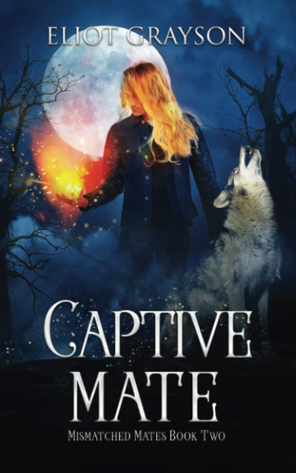 Captive Mate (Mismatched Mates)